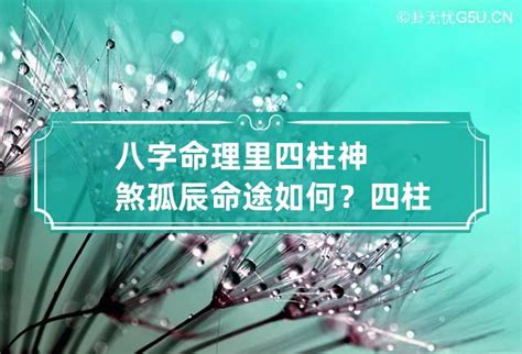 孤神|【孤辰 意思】孤辰寡宿的殘忍真相：看懂命盤，化解孤獨運命！